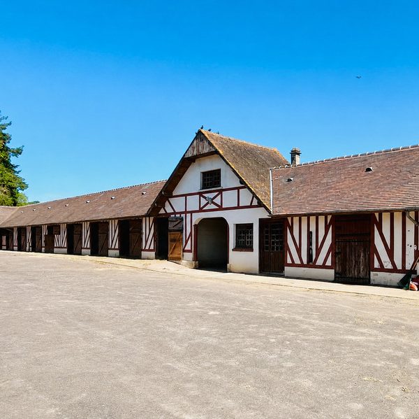The search for the perfect equestrian property